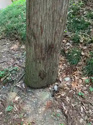 愛宕神社(群馬県)