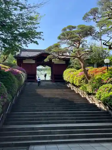 護国寺(東京都)