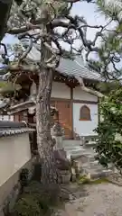 法華寺(京都府)