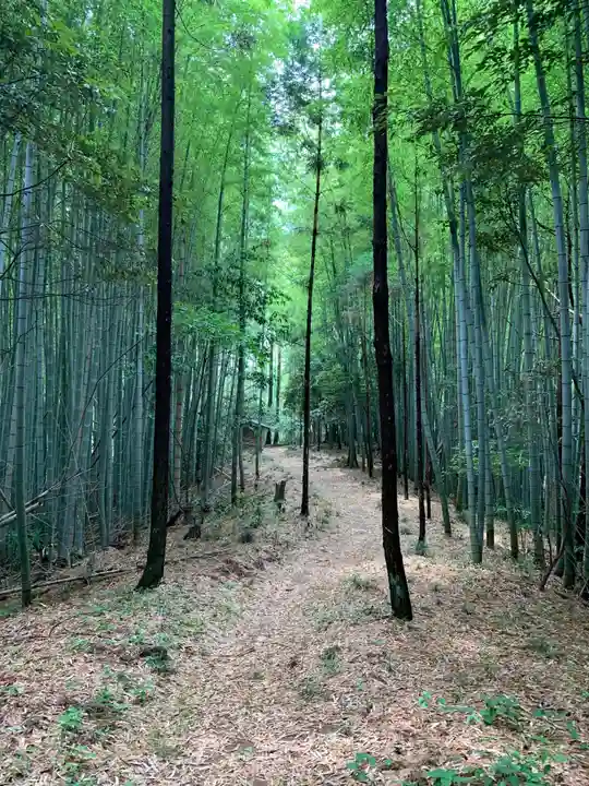 住吉神社(千葉県)
