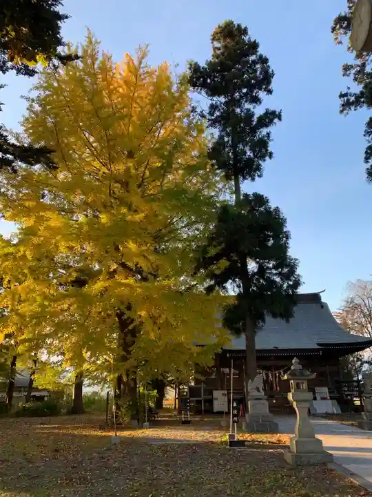 大宮神社の自然