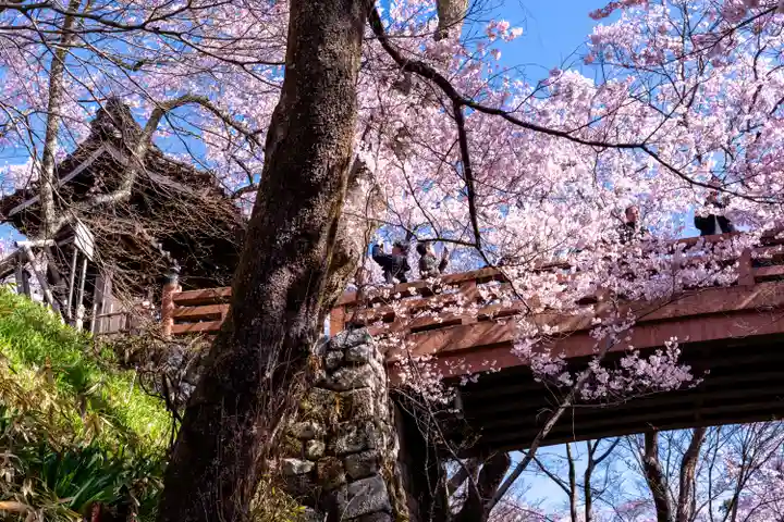 新城藤原神社(長野県)