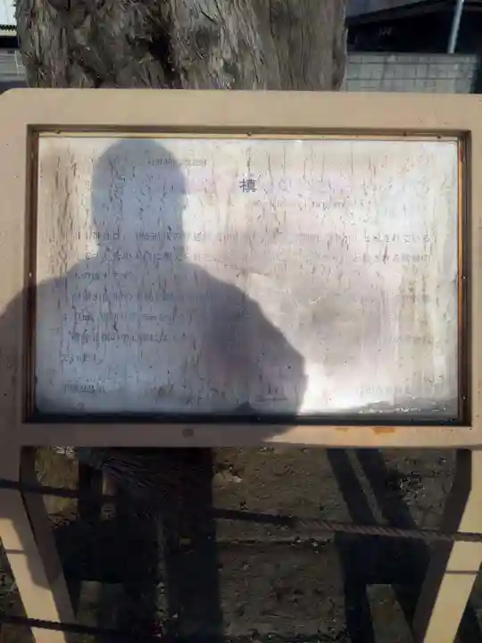 前玉神社(埼玉県)