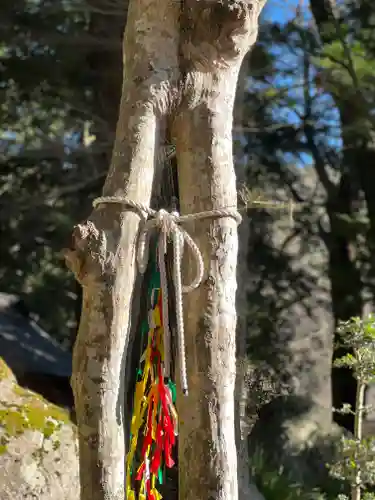 河口浅間神社のその他建物