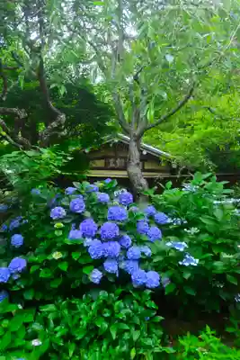 佛日庵(神奈川県)