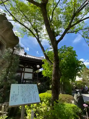 高幡不動尊　金剛寺(東京都)
