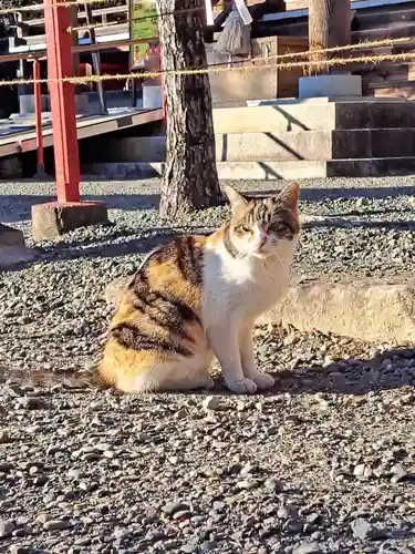 牟呂八幡宮(愛知県)