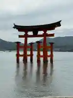 厳島神社の{uncategorized: "未分類", other: "その他", undefined: "問題あり", building: "その他建物", grave: "お墓", sacred_gate: "鳥居", guardian: "狛犬", statue: "像", buddha: "仏像", history: "歴史", nature: "自然", garden: "庭園", animal: "動物", pagoda: "塔", temizu: "手水舎", mountain_gate: "山門・神門", sanctuary: "本殿・本堂", subordinate: "末社・摂社", art: "芸術", scenery: "景色", jizo: "地蔵", ema: "絵馬", goshuin: "御朱印", omikuji: "おみくじ", items: "授与品その他", amulet: "お守り", goshuincho: "御朱印帳", eats: "食事", festival: "お祭り", votive_dance: "神楽", shichigosan: "七五三参", wedding: "結婚式", experience: "体験その他", initially: "初詣", around: "周辺", anti_infection: "感染症対策"}
