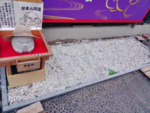 菊名神社の体験その他