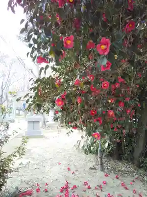 星田妙見宮(大阪府)