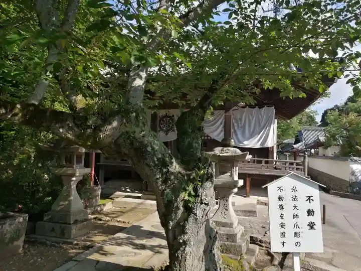 粉河寺(和歌山県)