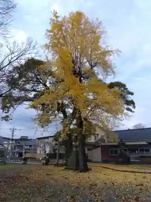 天満神社(福井県)