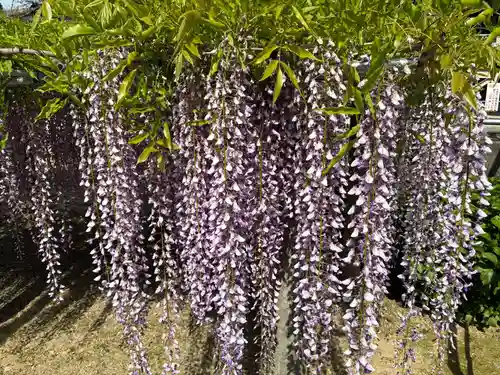 地福寺(徳島県)