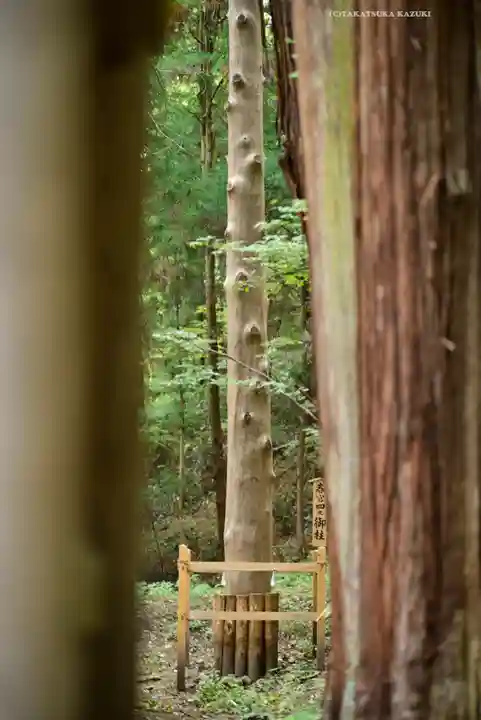 諏訪大社下社春宮(長野県)