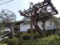 常光院(京都府)