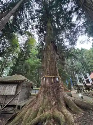 七崎神社(青森県)