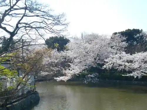 鶴岡八幡宮の庭園