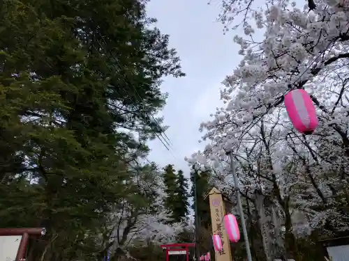 蒼柴神社の{uncategorized: "未分類", other: "その他", undefined: "問題あり", building: "その他建物", grave: "お墓", sacred_gate: "鳥居", guardian: "狛犬", statue: "像", buddha: "仏像", history: "歴史", nature: "自然", garden: "庭園", animal: "動物", pagoda: "塔", temizu: "手水舎", mountain_gate: "山門・神門", sanctuary: "本殿・本堂", subordinate: "末社・摂社", art: "芸術", scenery: "景色", jizo: "地蔵", ema: "絵馬", goshuin: "御朱印", omikuji: "おみくじ", items: "授与品その他", amulet: "お守り", goshuincho: "御朱印帳", eats: "食事", festival: "お祭り", votive_dance: "神楽", shichigosan: "七五三参", wedding: "結婚式", experience: "体験その他", initially: "初詣", around: "周辺", anti_infection: "感染症対策"}