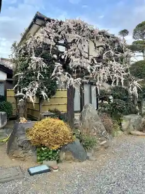 浄念寺の{uncategorized: "未分類", other: "その他", undefined: "問題あり", building: "その他建物", grave: "お墓", sacred_gate: "鳥居", guardian: "狛犬", statue: "像", buddha: "仏像", history: "歴史", nature: "自然", garden: "庭園", animal: "動物", pagoda: "塔", temizu: "手水舎", mountain_gate: "山門・神門", sanctuary: "本殿・本堂", subordinate: "末社・摂社", art: "芸術", scenery: "景色", jizo: "地蔵", ema: "絵馬", goshuin: "御朱印", omikuji: "おみくじ", items: "授与品その他", amulet: "お守り", goshuincho: "御朱印帳", eats: "食事", festival: "お祭り", votive_dance: "神楽", shichigosan: "七五三参", wedding: "結婚式", experience: "体験その他", initially: "初詣", around: "周辺", anti_infection: "感染症対策"}