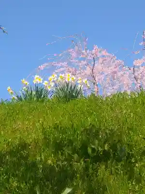 巳徳神社の周辺