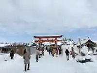 美瑛神社の初詣