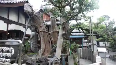 高津山 報恩院(大阪府)