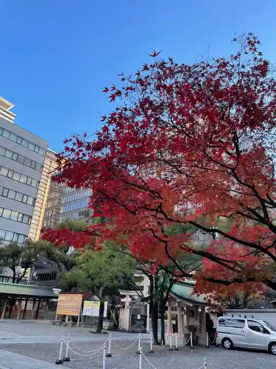 坐摩神社の自然