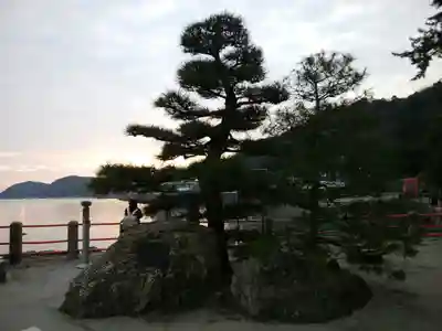 二見興玉神社(三重県)