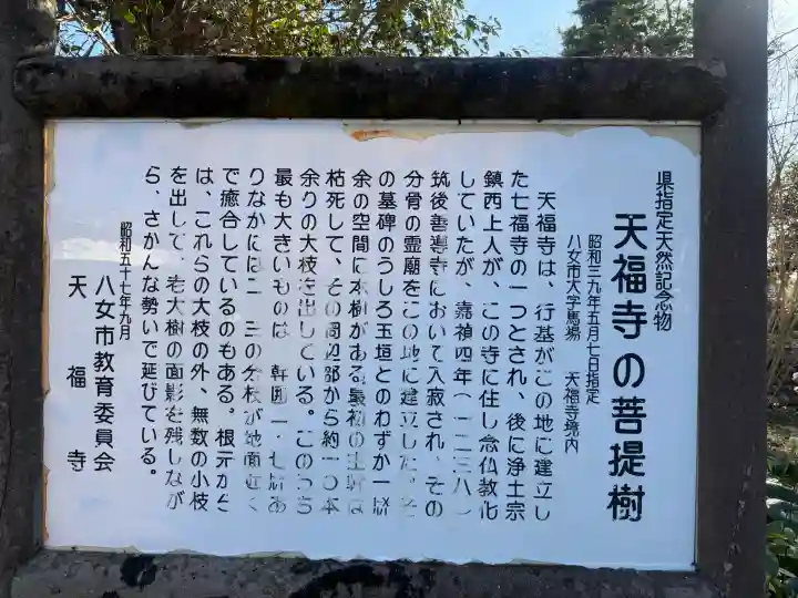 天福寺の{uncategorized: "未分類", other: "その他", undefined: "問題あり", building: "その他建物", grave: "お墓", sacred_gate: "鳥居", guardian: "狛犬", statue: "像", buddha: "仏像", history: "歴史", nature: "自然", garden: "庭園", animal: "動物", pagoda: "塔", temizu: "手水舎", mountain_gate: "山門・神門", sanctuary: "本殿・本堂", subordinate: "末社・摂社", art: "芸術", scenery: "景色", jizo: "地蔵", ema: "絵馬", goshuin: "御朱印", omikuji: "おみくじ", items: "授与品その他", amulet: "お守り", goshuincho: "御朱印帳", eats: "食事", festival: "お祭り", votive_dance: "神楽", shichigosan: "七五三参", wedding: "結婚式", experience: "体験その他", initially: "初詣", around: "周辺", anti_infection: "感染症対策"}