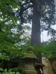 宗像神社の建物その他