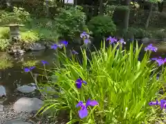 和樂備神社(埼玉県)