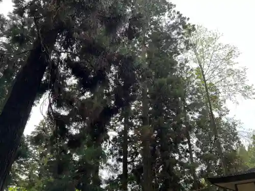 大宮温泉神社(栃木県)