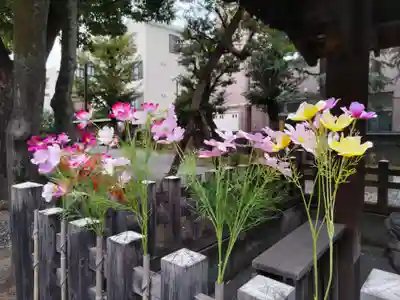 橘樹神社の手水舎