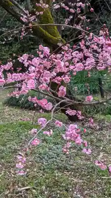 梅宮大社(京都府)