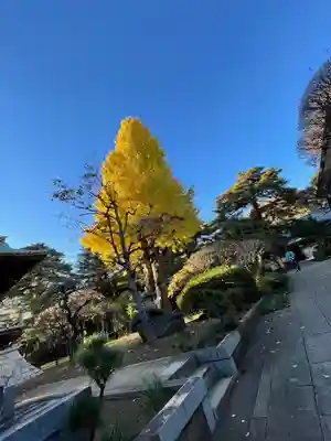 三寳寺(東京都)