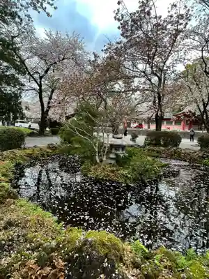 富士山本宮浅間大社(静岡県)
