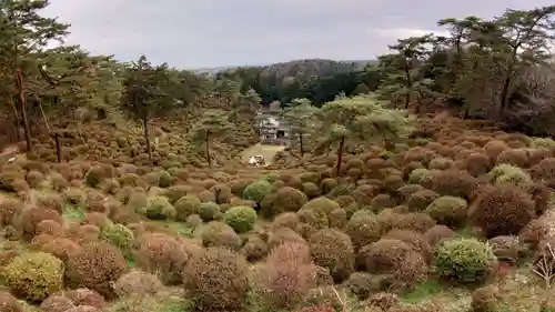 塩船観音寺の自然