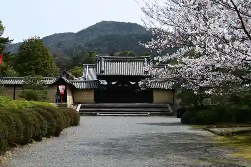 隨心院（随心院）(京都府)