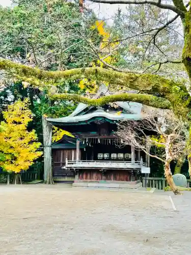 宇都宮二荒山神社の{uncategorized: "未分類", other: "その他", undefined: "問題あり", building: "その他建物", grave: "お墓", sacred_gate: "鳥居", guardian: "狛犬", statue: "像", buddha: "仏像", history: "歴史", nature: "自然", garden: "庭園", animal: "動物", pagoda: "塔", temizu: "手水舎", mountain_gate: "山門・神門", sanctuary: "本殿・本堂", subordinate: "末社・摂社", art: "芸術", scenery: "景色", jizo: "地蔵", ema: "絵馬", goshuin: "御朱印", omikuji: "おみくじ", items: "授与品その他", amulet: "お守り", goshuincho: "御朱印帳", eats: "食事", festival: "お祭り", votive_dance: "神楽", shichigosan: "七五三参", wedding: "結婚式", experience: "体験その他", initially: "初詣", around: "周辺", anti_infection: "感染症対策"}