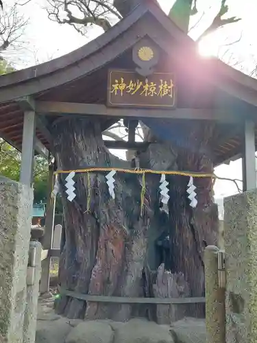 大聖勝軍寺の自然