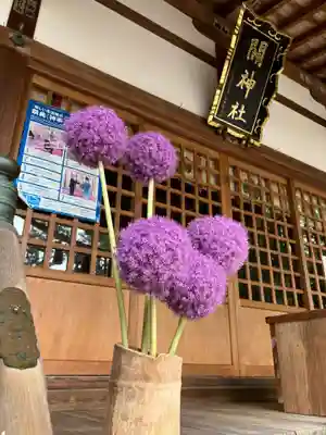 関神社の本殿・本堂