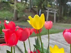 大宮温泉神社(栃木県)(2022年04月22日(金) 08時17分45秒投稿)