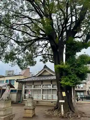 和田稲荷神社(東京都)