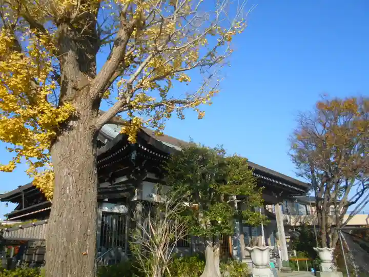慈眼寺の本殿・本堂