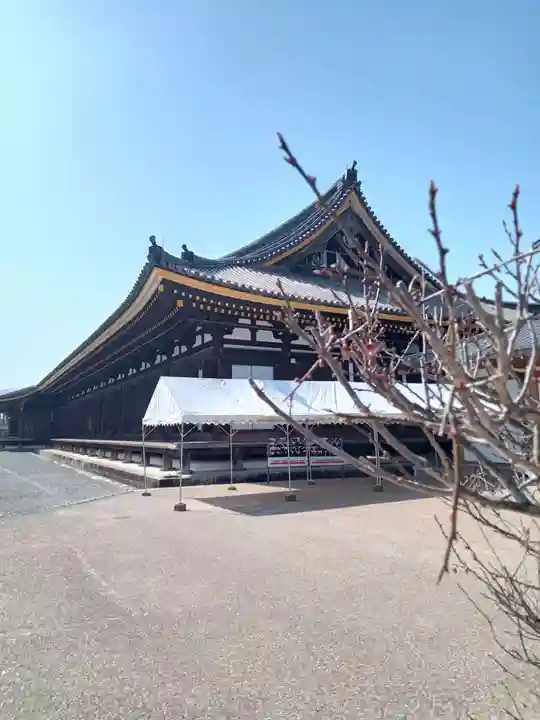 蓮華王院(三十三間堂)(京都府)