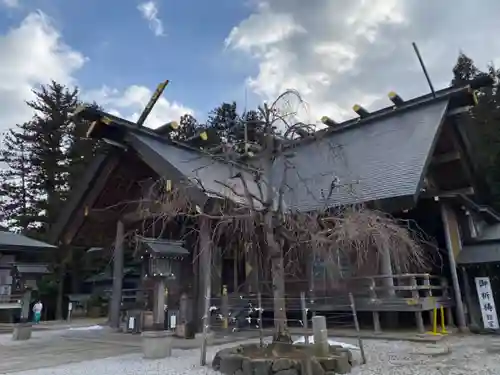 開成山大神宮の本殿・本堂