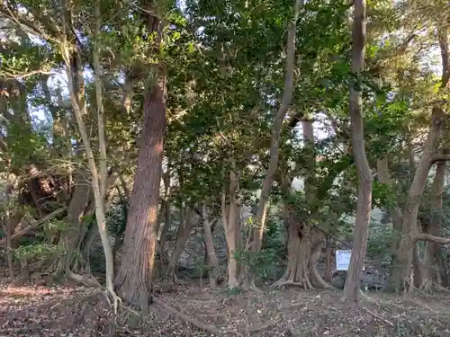 建市神社奥の院の自然