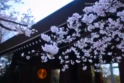 靖國神社(東京都)