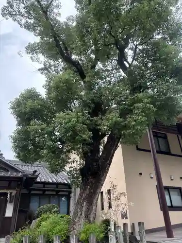 成海神社(愛知県)