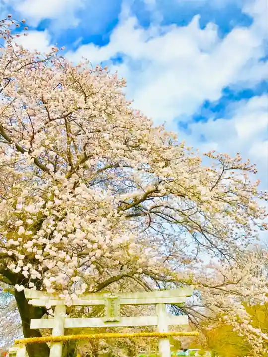 鹿嶋神社の自然
